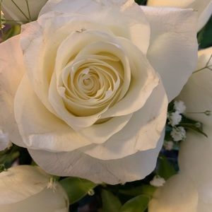 Meet your Posher, Joyce